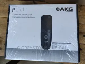 AKG P-120 Studio Mic