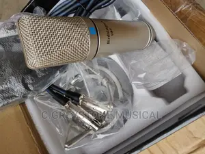 U87 Studio Mic Gold