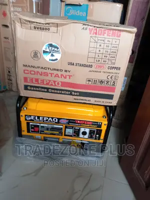 Effective Sv5800 Elepaq Constant Manual Generator