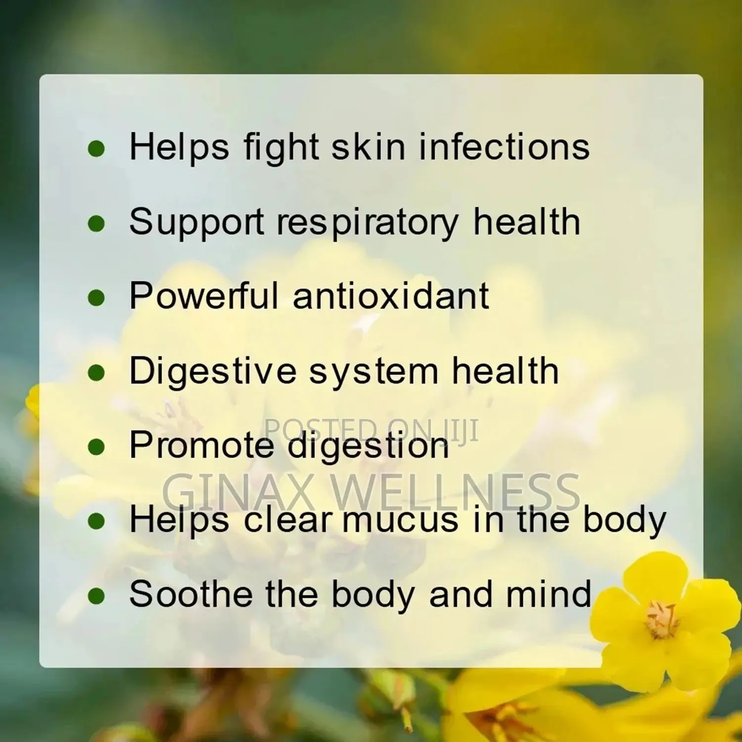 Mullein Capsules for Respiratory Health