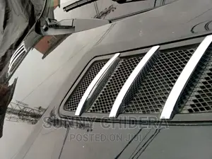 GLE Bonnet Grill With Chrome