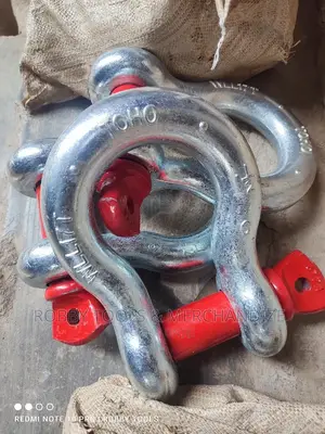 Shackles 17 Tons