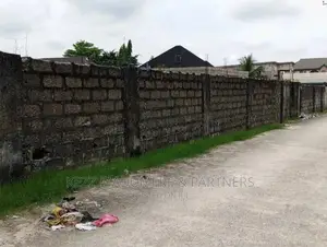 For Sale: Two (2) Plots of Land at Rukpakulusi, Eliozu,
