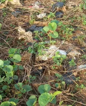 Beautiful Piece of Land Selling at Foreshore Estate.Ikoyi