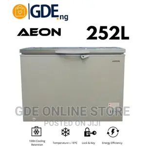 Aeon Freezer 252L R600A SD Grey Acf250gk