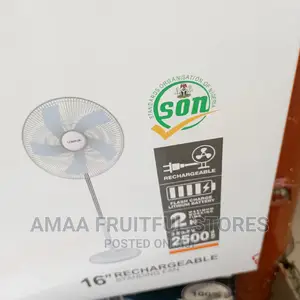 Lontor Rechargeable 16" Fan
