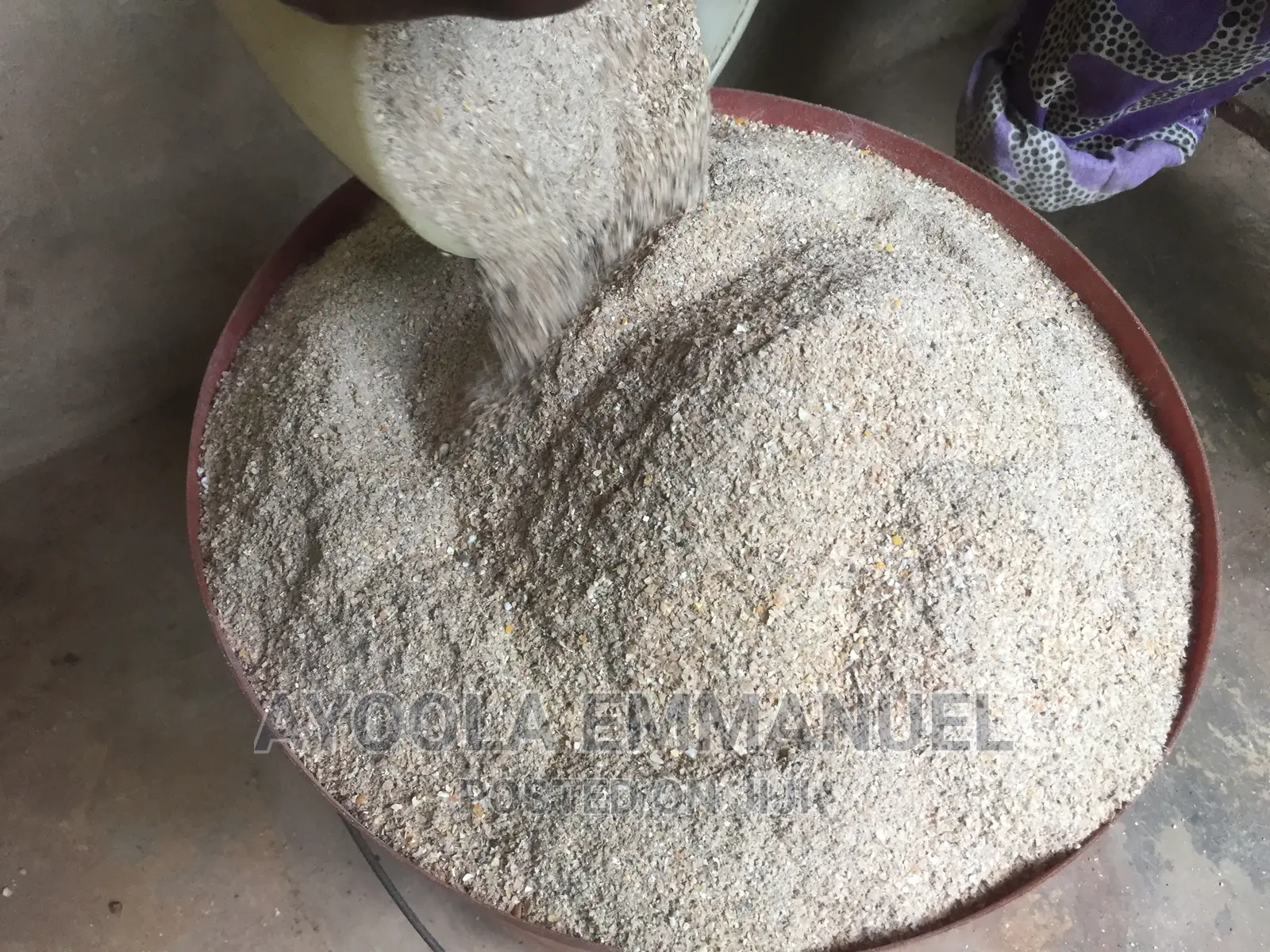 Snail Feed and Snail Rearing