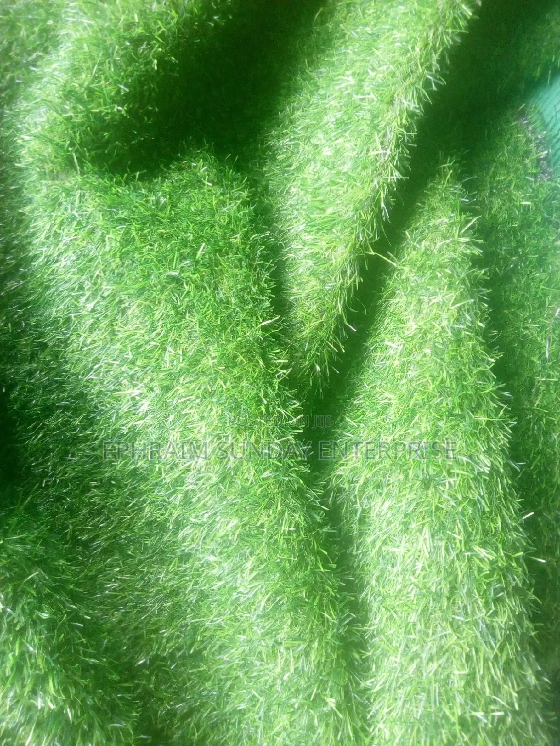 Synthetic Grass