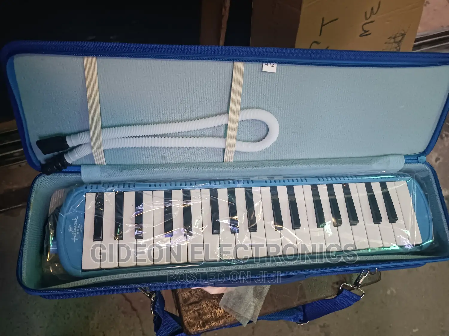 Melodium Melodica