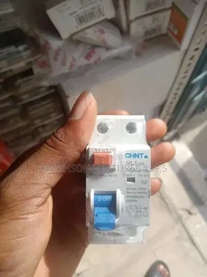 2pole Chint Elcb 40amps