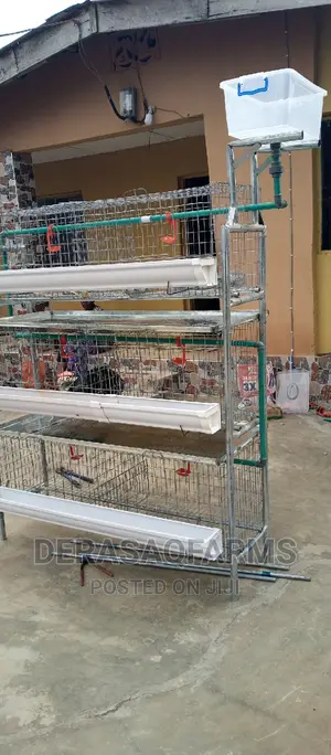 Broiler Cage With Quality Materials