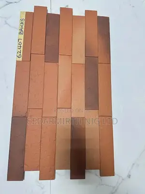 Bricks Chinese