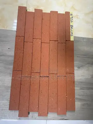 Bricks Chinese
