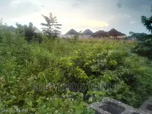 6 Plots ( One Acre ) of Land Along Lagos Road Lagos State Nigeria