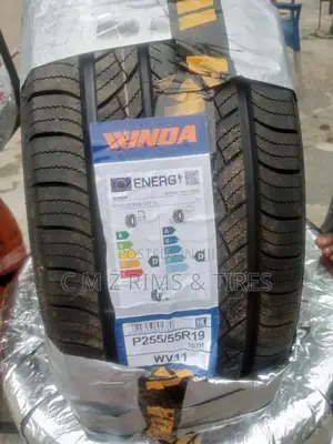 235/55r19 Winds for Mercedes-Benz