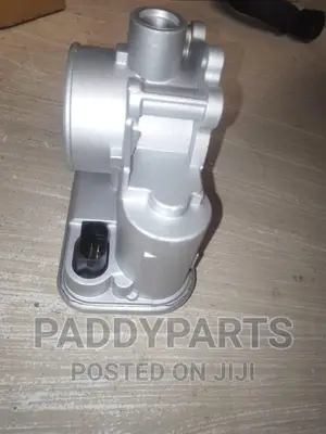 Chrysler 200 Throttle Body/Injector Mouth