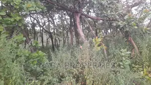 Dakibiyu Residential Plot for Distress Sale