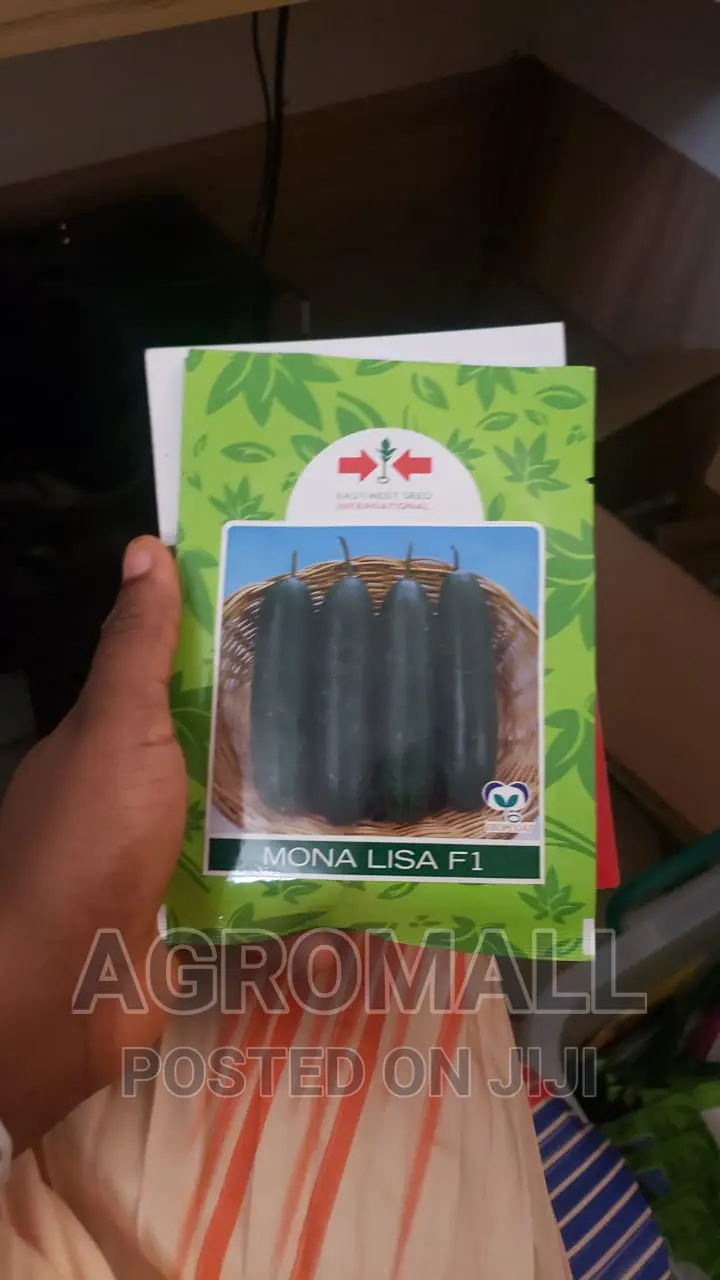 Hybrid Cucumber Seeds (Different Varieties)