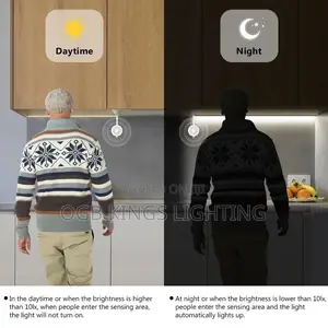PIR Motion Sensor Cob LED Strip Light 24V LED Lighting