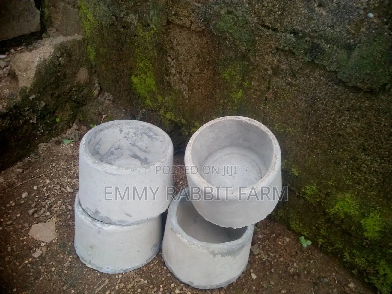Rabbit/Grasscutter Feeders