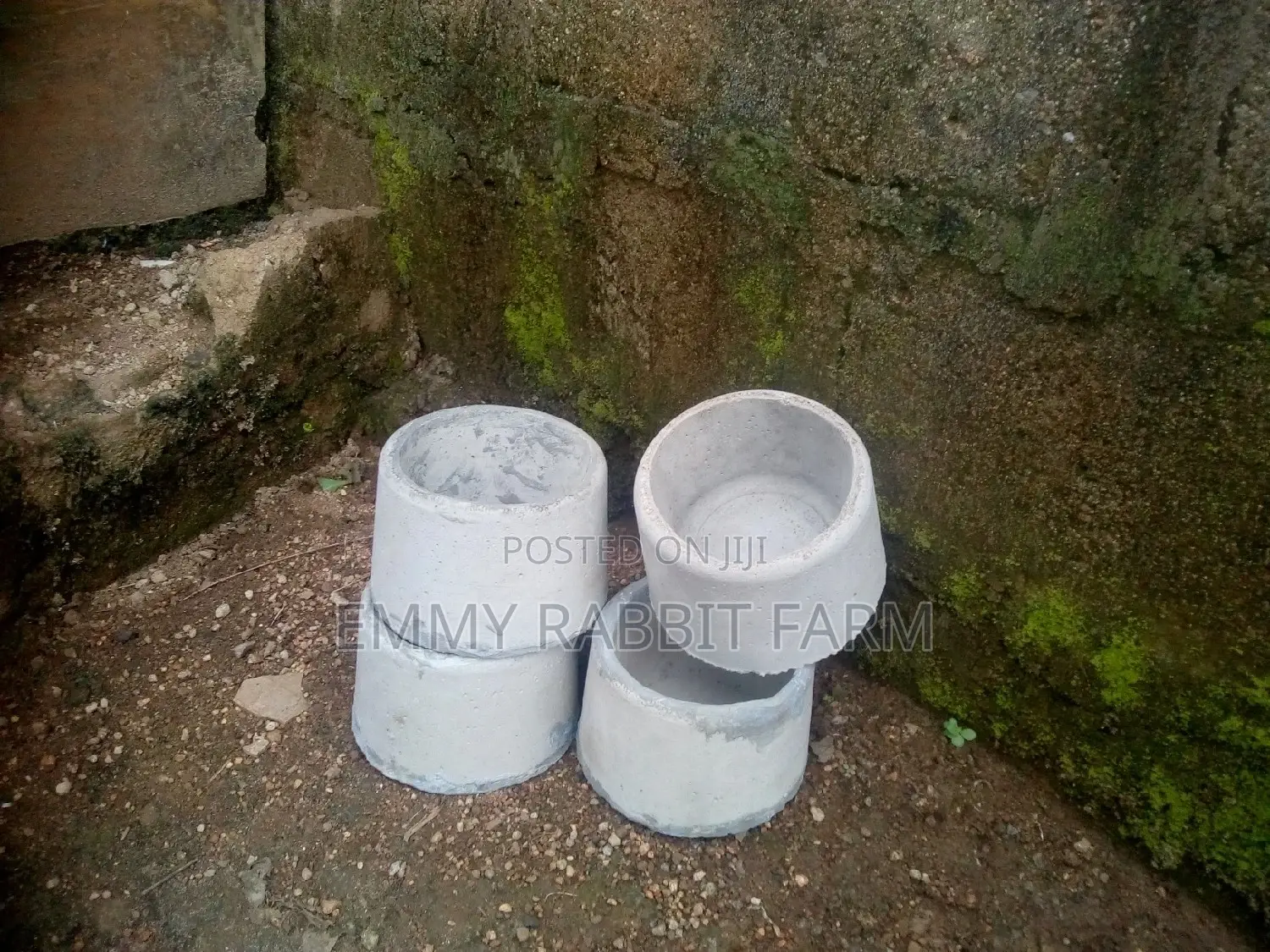 Rabbit/Grasscutter Feeders