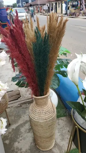 Decorative Pampas Grass
