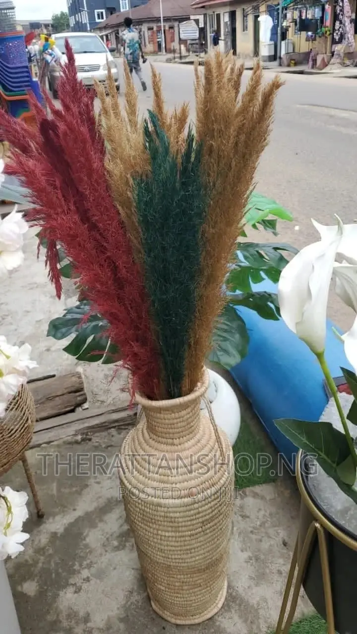 Decorative Pampas Grass