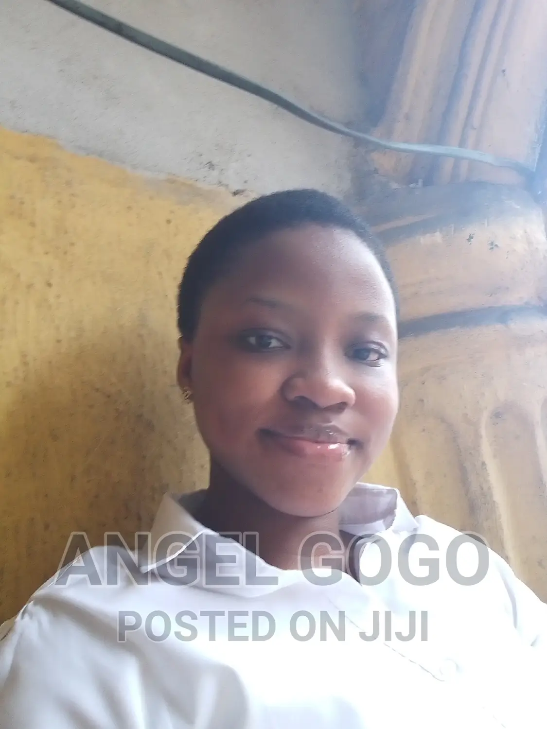 Housekeeper or Cleaner