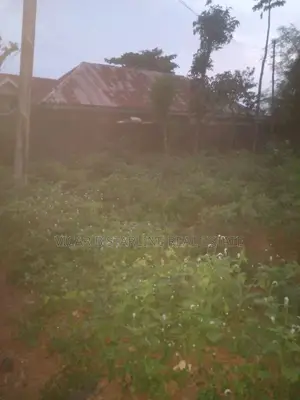 One Table Plot of Land Opposite G Hostel Umunze 4 Sale 5.5m