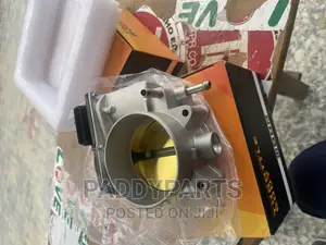 Toyota Tundra Throttle Body/Injector Mouth