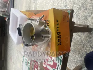 Lexus GX470 Throttle Body/Injector Mouth