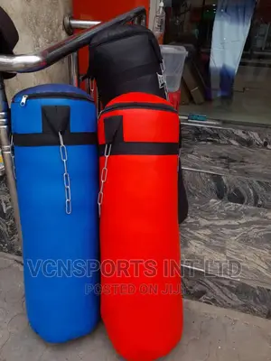 Everlast Punching Bag
