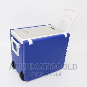 Picnic Cooler With Chair and Table
