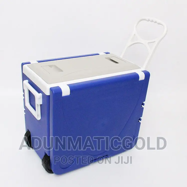 Picnic Cooler With Chair and Table