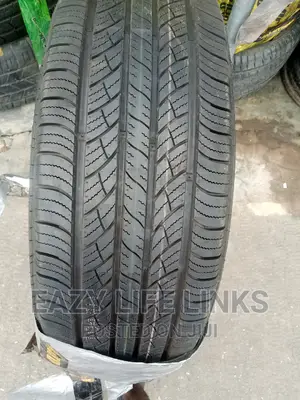 245/55r19 Winds Tires