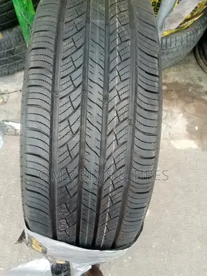 245/55r19 Winds Tires