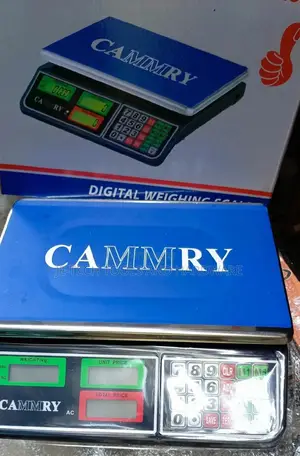 Camry Electronic Digital Scale-30kg