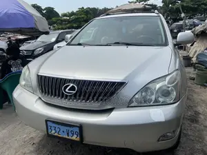 Lexus RX 330 AWD 2006 Silver
