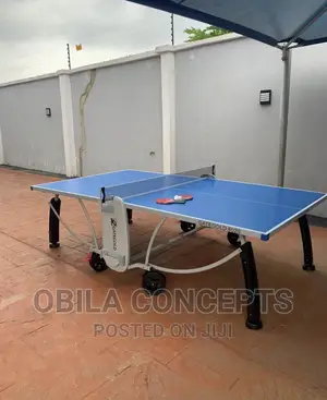 Giant Home Beautifying Outdoor Table Tennis + Accessories