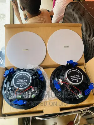 30watts Frameless Bluetooth Ceiling Speakers