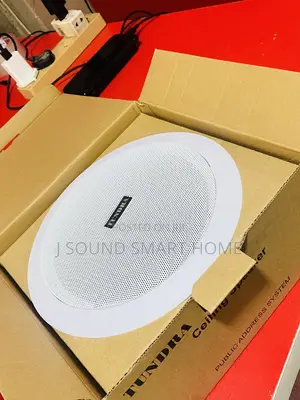 50watts Tundra Ceiling/Pop Speakers