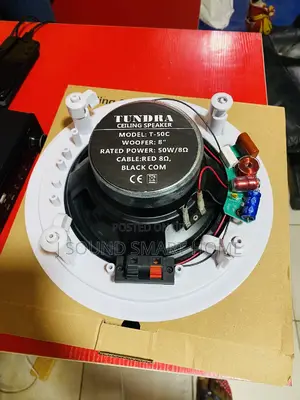 Original Ceiling Speakers
