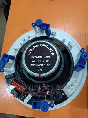 Celiing Speaker