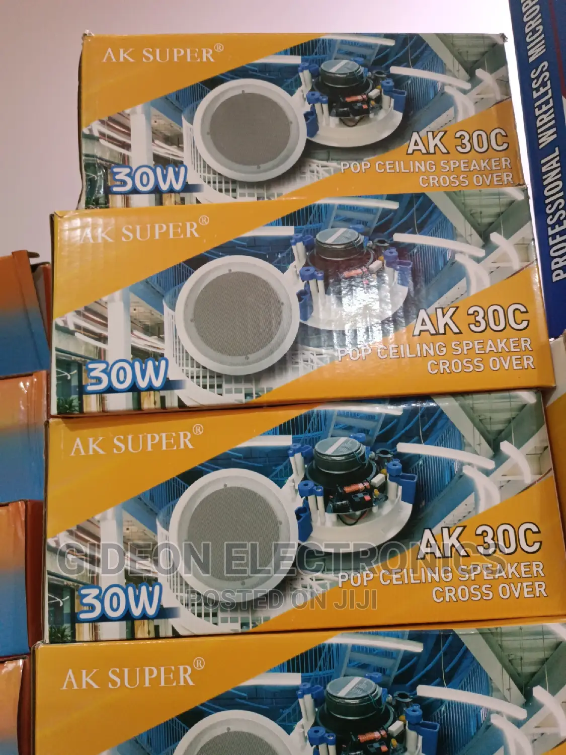 Celiing Speaker