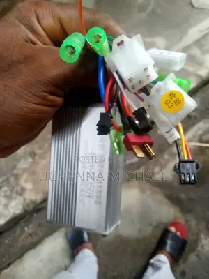 Electric Bike Brain Box 36-48volts
