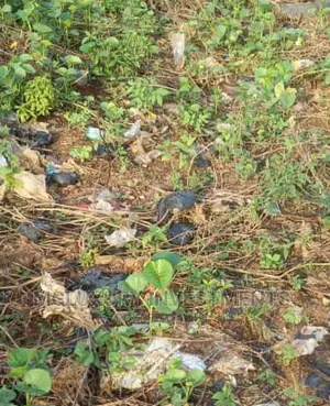 Vast Mixed Used Land for Sale at Apapa