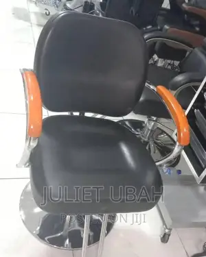 Barbing / Salon Chair