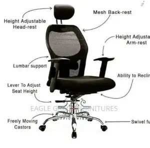 Executive Ergonomic Office Swivel Chair