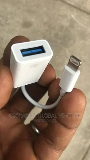 iPhone Otg