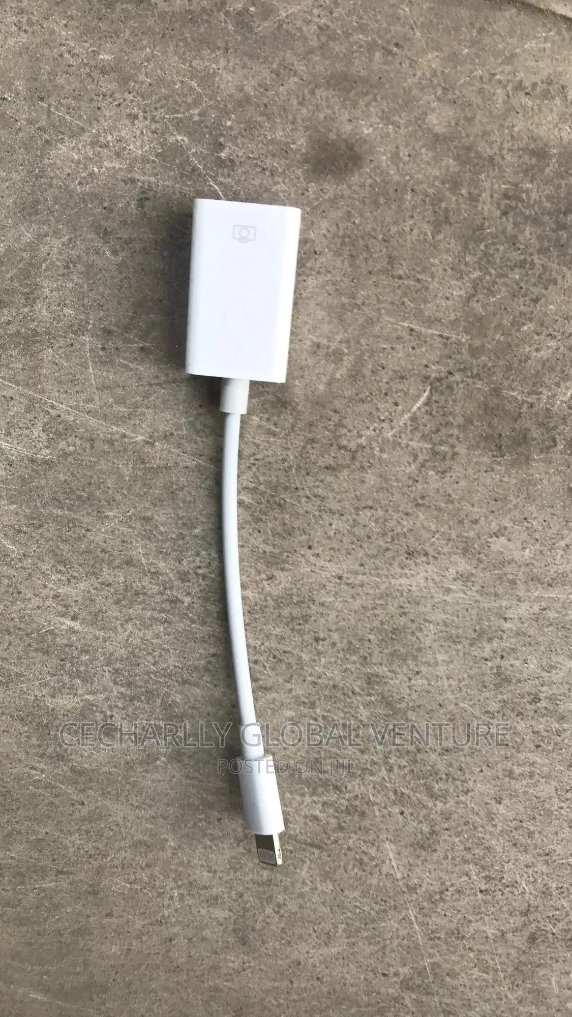 iPhone Otg